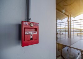 Wall-mounted fire alarm
